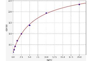 Typical standard curve (EPH Receptor A4 ELISA 试剂盒)