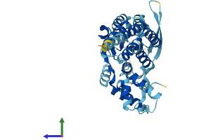 Protein Structure (PS) image for Replication Factor C (Activator 1) 3, 38kDa (RFC3) (AA 1-356) protein (His tag) (ABIN7551326)