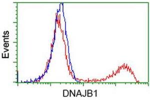 HEK293T cells transfected with either RC201762 overexpress plasmid (Red) or empty vector control plasmid (Blue) were immunostained by anti-DNAJB1 antibody (ABIN2454093), and then analyzed by flow cytometry. (DNAJB1 抗体)