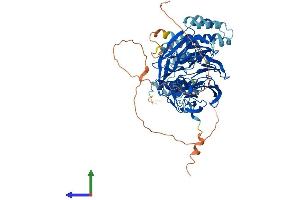 AlphaFold protein structure predicition of Human Recombinant WDR26 Protein, UniprotID Q9H7D7
