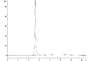 The purity of Cynomolgus FGL1 is greater than 95 % as determined by SEC-HPLC.