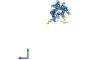 Protein Structure (PS) image for Serotonin Receptor 1D (HTR1D) (AA 1-374) protein (His tag) (ABIN7557681)
