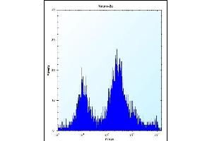 UBE2E2 Antibody (N-term) (ABIN657745 and ABIN2846729) flow cytometric analysis of Neuro-2a cells (right histogram) compared to a negative control cell (left histogram). (UBE2E2 抗体  (N-Term))