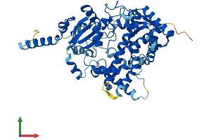 Protein Structure (PS) image for Cytochrome P450, Family 3, Subfamily A, Polypeptide 4 (CYP3A4) (AA 1-503) protein (His tag) (ABIN7546828)
