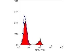 Staining of human peripheral blood lymphocytes with MOUSE ANTI HUMAN CD19:FITC (ABIN119121). (CD19 抗体  (FITC))