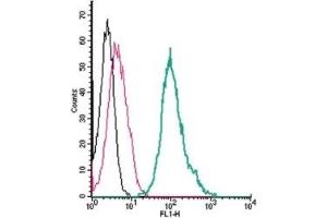 Flow Cytometry (FACS) image for anti-Transient Receptor Potential Cation Channel, Subfamily A, Member 1 (TRPA1) (AA 747-760), (Extracellular) antibody (FITC) (ABIN7043814)