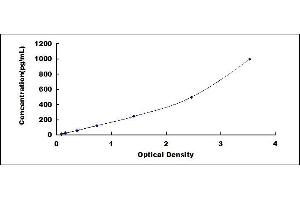 Typical standard curve (LAIR2 ELISA 试剂盒)