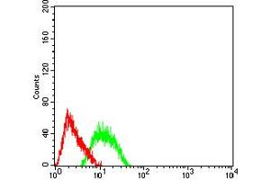 Flow Cytometry (FACS) image for anti-Transcription Factor AP-2 beta (Activating Enhancer Binding Protein 2 Beta) (TFAP2B) (AA 84-193) antibody (ABIN5611289)