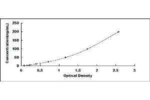 Typical standard curve (Complement C4 ELISA 试剂盒)