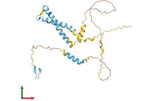 Protein Structure (PS) image for OCIA Domain Containing 1 (OCIAD1) (AA 1-247) protein (His tag) (ABIN7560636)