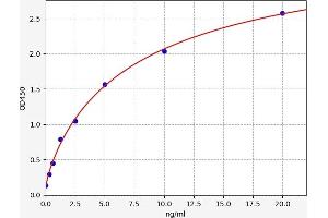 Typical standard curve (DUSP9 ELISA 试剂盒)