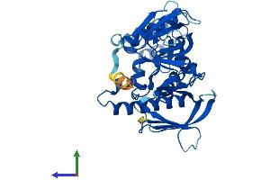 Protein Structure (PS) image for ArfGAP with Dual PH Domains 2 (ADAP2) (AA 1-381) protein (His tag) (ABIN7551883)