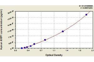 Typical Standard Curve (XIRP1 ELISA 试剂盒)