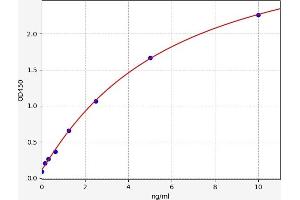 Typical standard curve (SLC25A5 ELISA 试剂盒)
