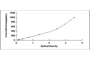 Dickkopf Homolog 4 (Xenopus Laevis) (DKK4) ELISA Kit