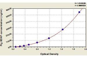 Typical Standard Curve (BDNF ELISA 试剂盒)