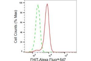 Flow cytometric analysis of FHIT expression in HeLa cells using FHIT antibody (ABIN7798657), 1:2,000). (Recombinant FHIT 抗体)