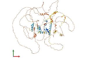 AlphaFold protein structure predicition of Mouse Recombinant Bcl11a Protein, UniprotID Q9QYE3