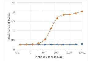 Binding curve of anti-B7-H3 antibody MJ18 (ABIN7072434) to mouse B7-H3-Fc fusion protein ELISA Plate coated with mouse B7-H3-Fc fusion protein (Pr00158-1. (Recombinant CD276 抗体  (Extracellular Domain))