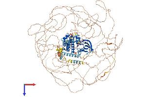 LMTK2 Protein (AA 1-1503) (His tag)