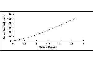 Nitric Oxide Synthase 2, Inducible (NOS2) ELISA Kit