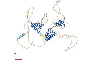 Protein Structure (PS) image for Mex-3 Homolog B (MEX3B) (AA 1-569) protein (His tag) (ABIN7549429)