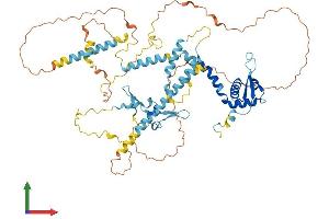 Protein Structure (PS) image for Non-SMC Condensin II Complex, Subunit H2 (NCAPH2) (AA 1-605) protein (His tag) (ABIN7546643)