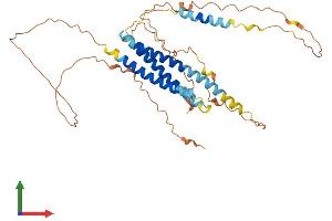 Protein Structure (PS) image for Chromosome 19 Open Reading Frame 46 (C19orf46) (AA 1-388) protein (His tag) (ABIN7559375)