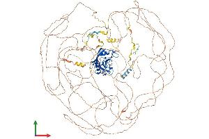 Protein Structure (PS) image for Natural Killer-Tumor Recognition Sequence (NKTR) (AA 1-1462) protein (His tag) (ABIN7554744)