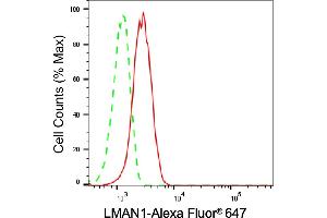 Flow cytometric analysis of LMAN1 expression in HepG2 cells using LMAN1 antibody (ABIN7799245), 1:2,000). (Recombinant LMAN1 抗体)