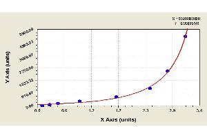 Image no. 1 for Angiogenin (ANG) ELISA Kit (ABIN365222) (ANG ELISA 试剂盒)