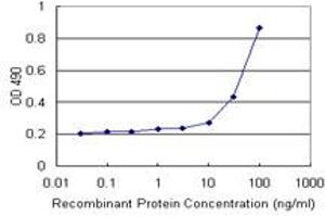 Sandwich ELISA detection sensitivity ranging from 10 ng/mL to 100 ng/mL.
