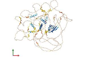 AlphaFold protein structure predicition of Mouse Recombinant Synpo2l Protein, UniprotID Q8BWB1