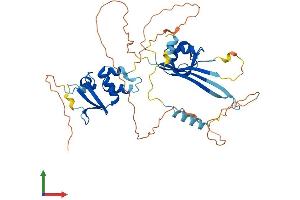 Protein Structure (PS) image for Potassium Channel Tetramerisation Domain Containing 16 (KCTD16) (AA 1-428) protein (His tag) (ABIN7548704)