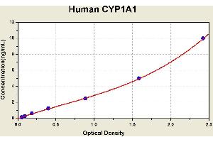 Diagramm of the ELISA kit to detect Human CYP1A1with the optical density on the x-axis and the concentration on the y-axis.