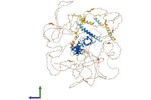 Protein Structure (PS) image for Sorbin and SH3 Domain Containing 1 (SORBS1) (AA 1-1292) protein (His tag) (ABIN7555582)
