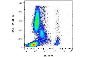 Surface staining of human peripheral blood with anti-CD123 (6H6) PE. (IL3RA 抗体  (PE))