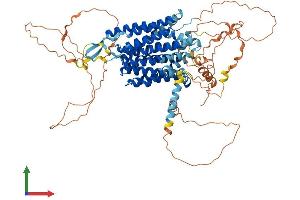 Protein Structure (PS) image for Major Facilitator Superfamily Domain Containing 6 (MFSD6) (AA 1-775) protein (His tag) (ABIN7559234)