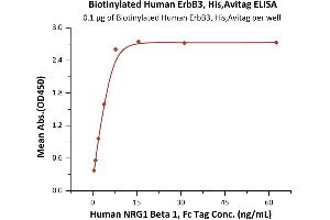 ELISA image for Receptor Tyrosine-Protein Kinase ErbB-3 (ERBB3) (AA 20-643) (Active) protein (His tag,AVI tag,Biotin) (ABIN6933652)