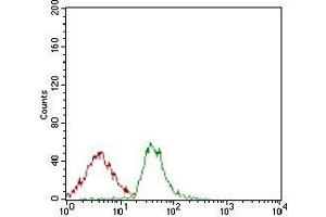 Flow cytometric analysis of Jurkat cells using ALCAM mouse mAb (green) and negative control (red). (CD166 抗体  (AA 48-216))