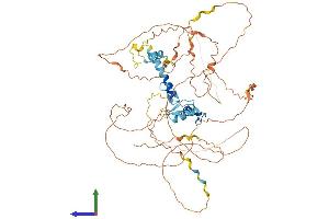 AlphaFold protein structure predicition of Human Recombinant EGR4 Protein, UniprotID Q05215
