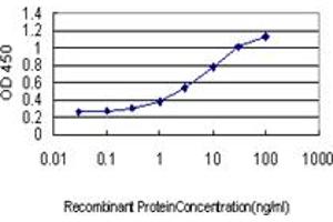 Detection limit for recombinant GST tagged RAD23A is approximately 0. (RAD23A 抗体  (AA 151-250))