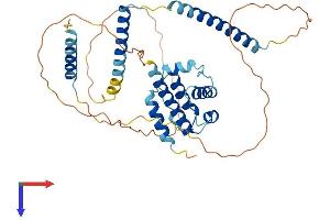 CEP44 Protein (AA 1-390) (His tag)