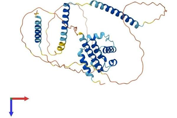 CEP44 Protein (AA 1-390) (His tag)
