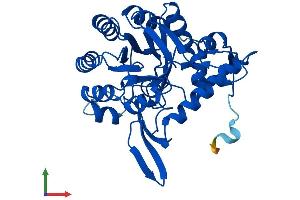 Protein Structure (PS) image for Guanosine Monophosphate Reductase 2 (GMPR2) (AA 1-348) protein (His tag) (ABIN7560349)