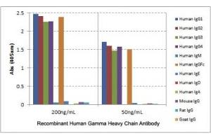 ELISA of human immunoglobulins shows the recombinant Human IgG antibody reacted to the G1, G2, G3, G4 heavy chain of hIgGs, and the Fc of hIgG. (Recombinant IGHG 抗体)