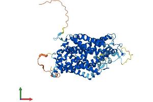 Protein Structure (PS) image for Solute Carrier Family 6 (Neurotransmitter Transporter, GABA), Member 13 (SLC6A13) (AA 1-602) protein (His tag) (ABIN7563120)