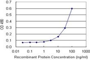 Sandwich ELISA detection sensitivity ranging from 3 ng/mL to 100 ng/mL. (AKT1 (人) Matched Antibody Pair)