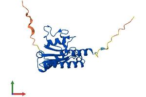 AlphaFold protein structure predicition of Human Recombinant ADAT2 Protein, UniprotID Q7Z6V5