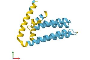 Protein Structure (PS) image for SFT2 Domain Containing 1 (SFT2D1) (AA 1-159) protein (His tag) (ABIN7557532)